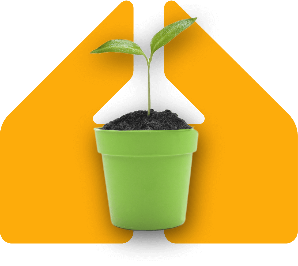 Image showing a plant in a pair of speech marks