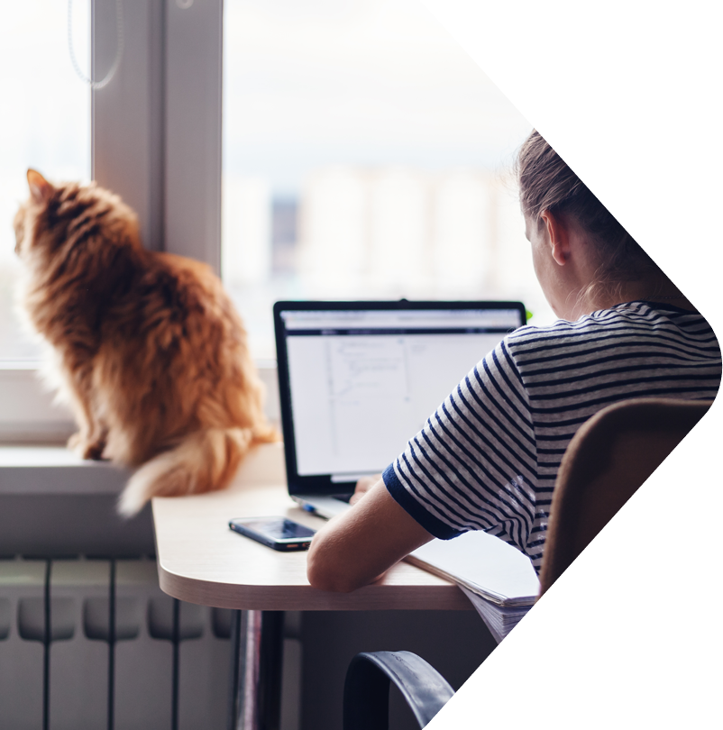Image showing a woman sat at her desk with her cat beside her