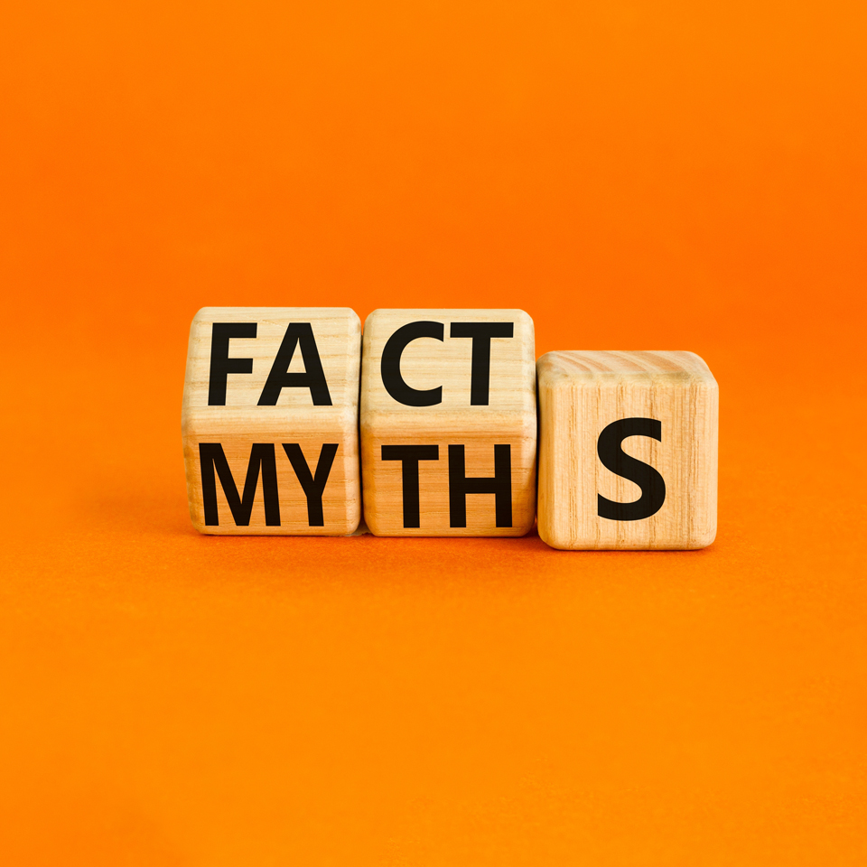 wooden cubes saying facts and myths